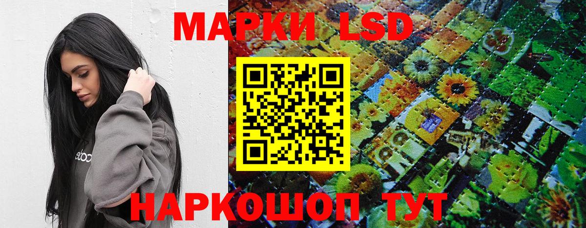 Выборг  Марки N-bome 1,5мг  Вход с VPN 